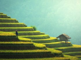 10 lieux à voir en thailande