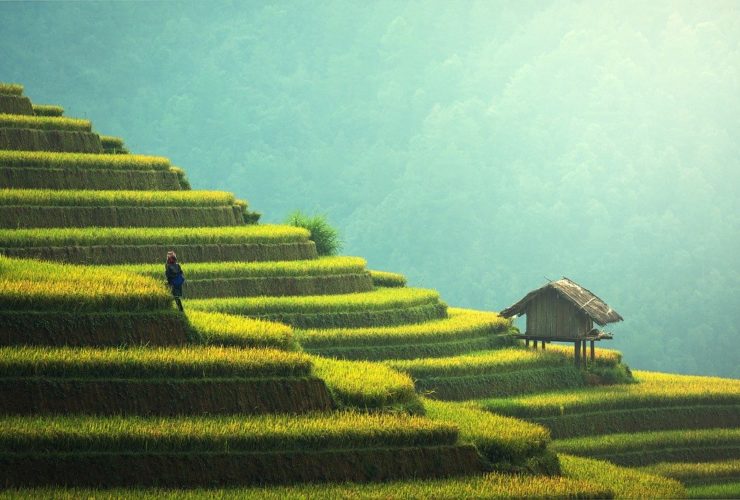10 lieux à voir en thailande