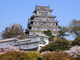 Japon