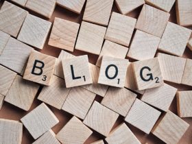 blog ecologie