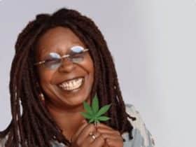 cbd célébrités