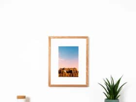 cadre photo