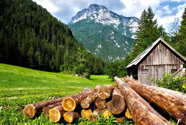 un chalet dans les alpes